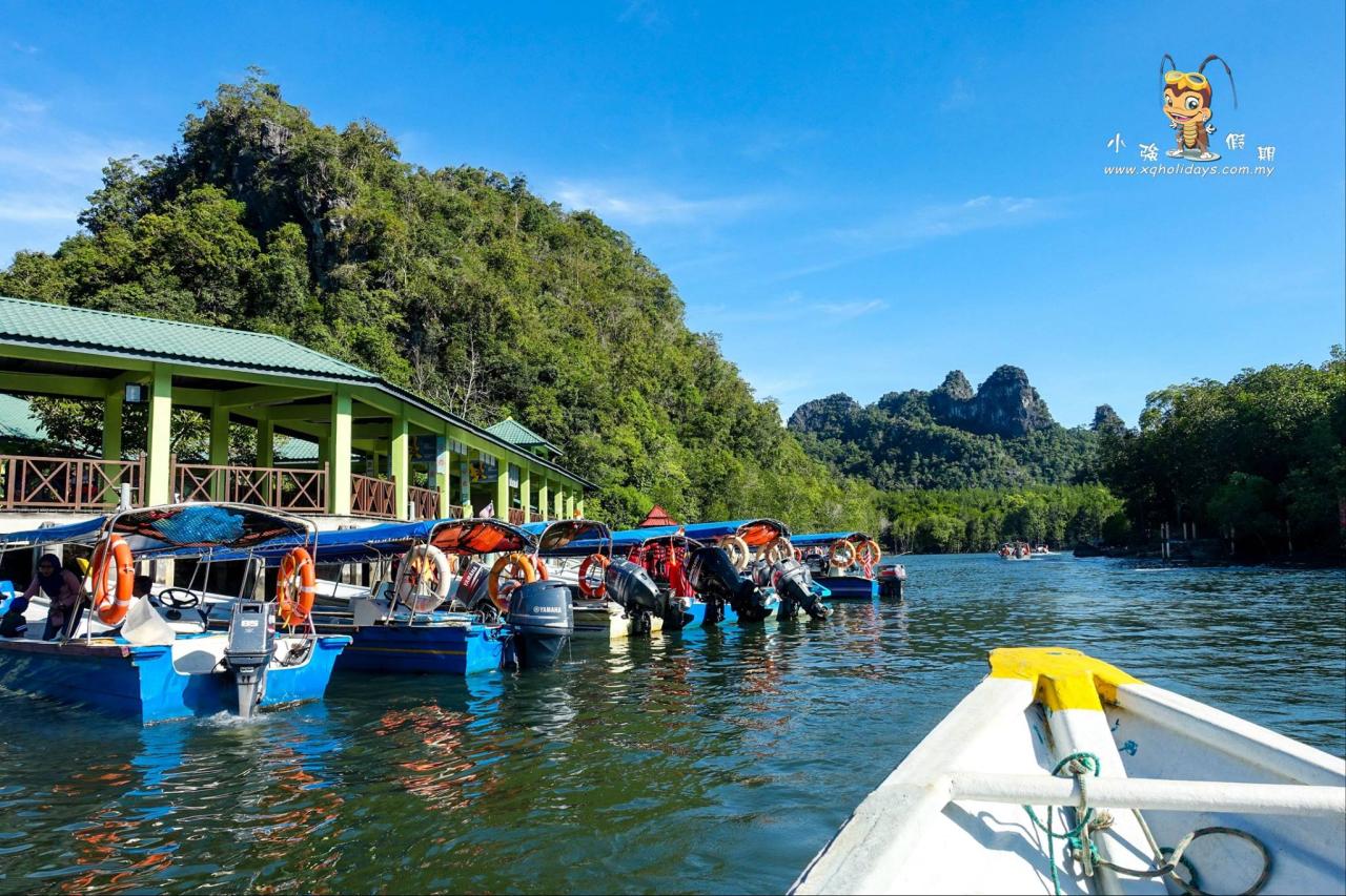 Mangrove Tour Langkawi: Eksplorasi Keindahan Alam yang Tersembunyi